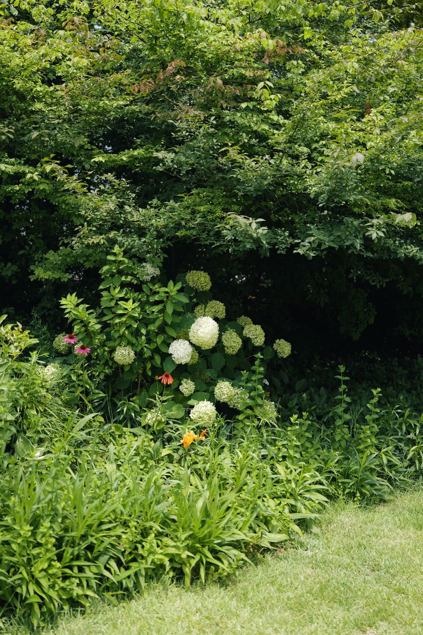 An iridescent green